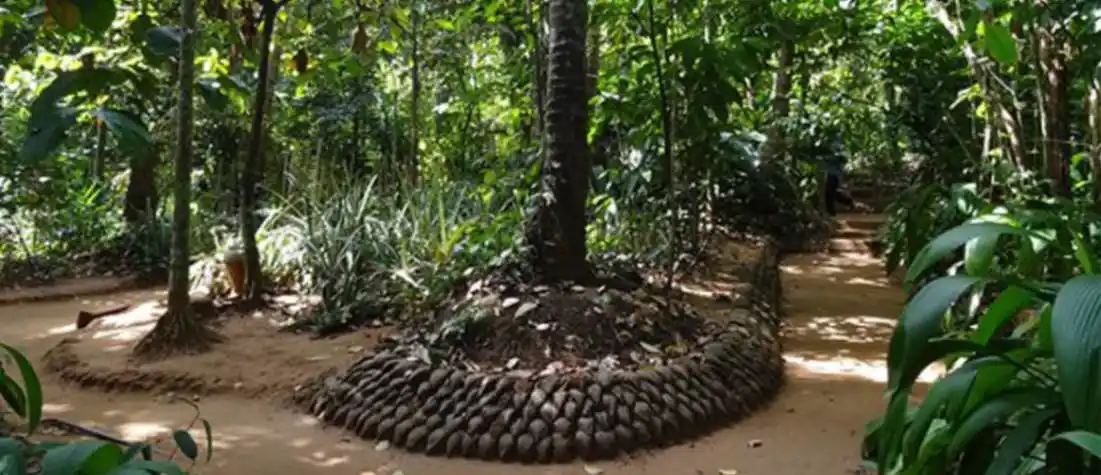 Spices & Serenity Tour-1